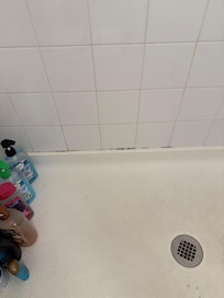 Shower mold