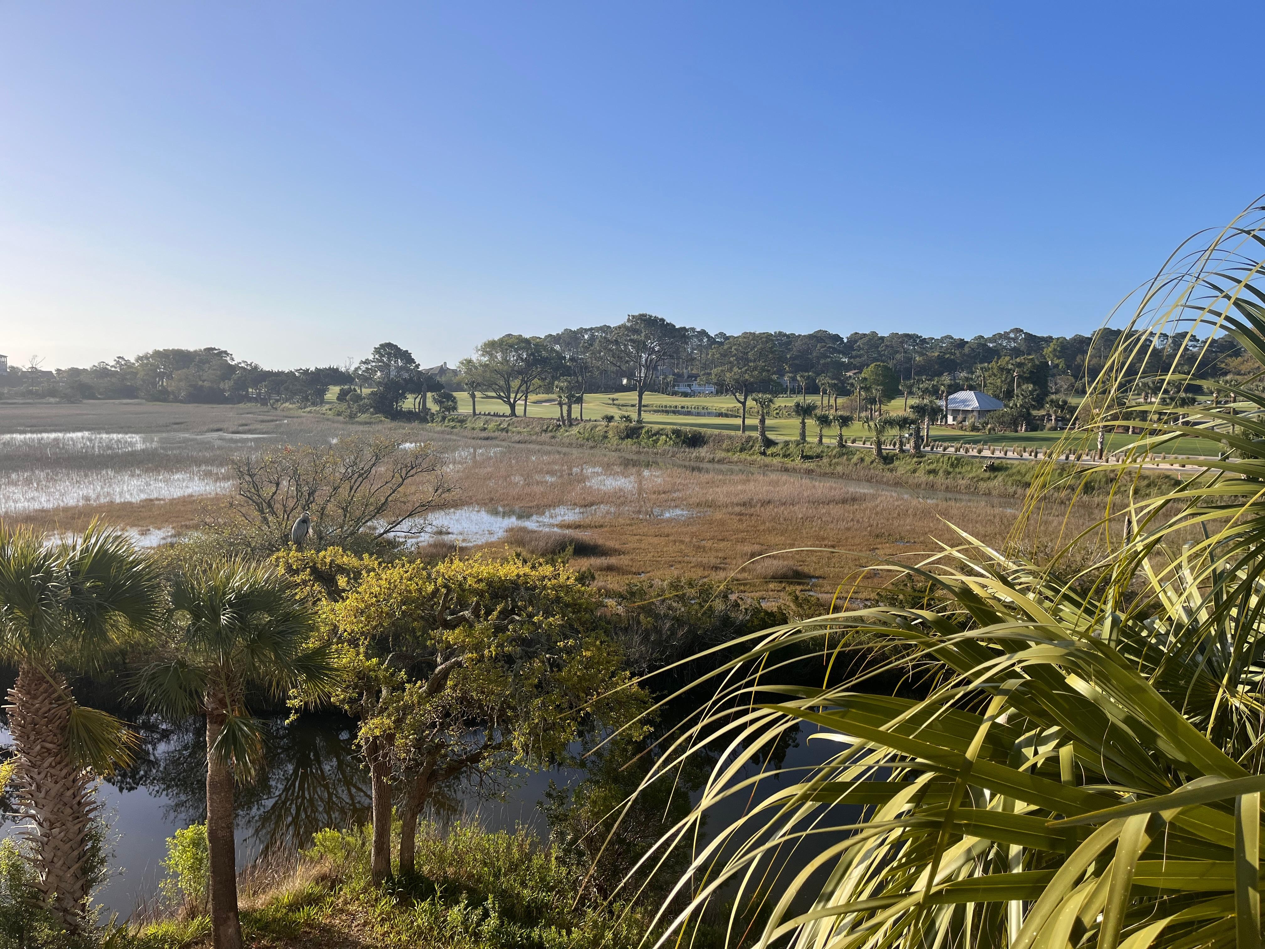 Our breakfast view every morning!