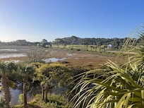 Our breakfast view every morning!