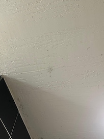 Mold in multiple rooms! I had a suite, my husband had a room the night before our wedding day and my friends stayed in another room & we saw it in every room. Not saf