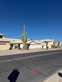 Walk thru the neighborhood