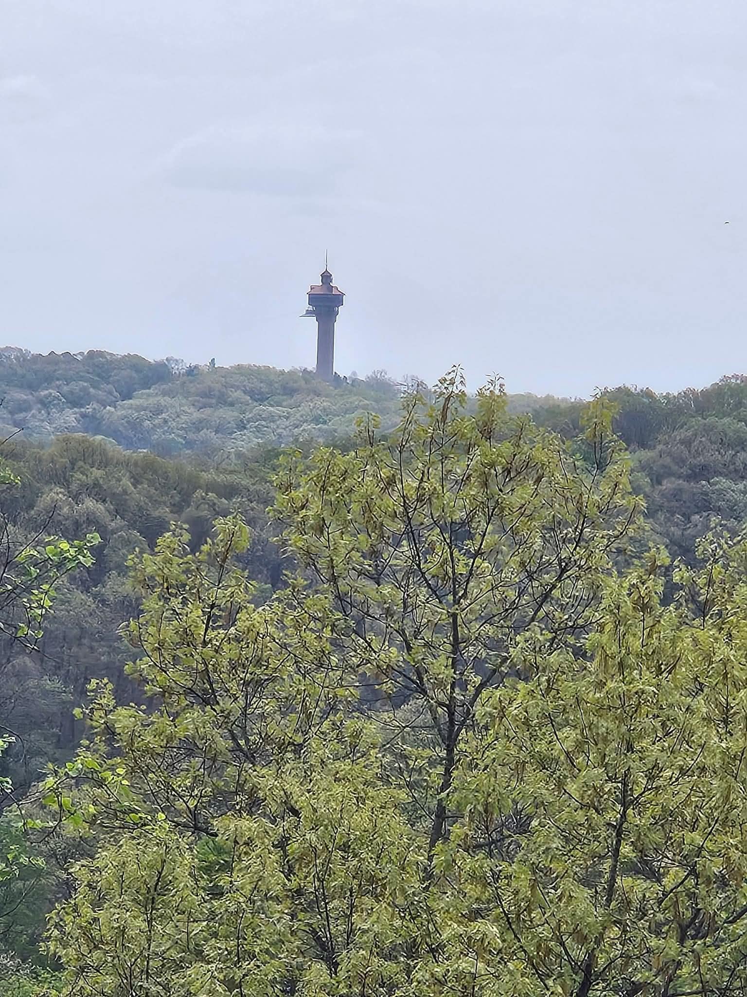 View from living room & deck.