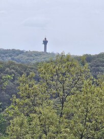 View from living room & deck.