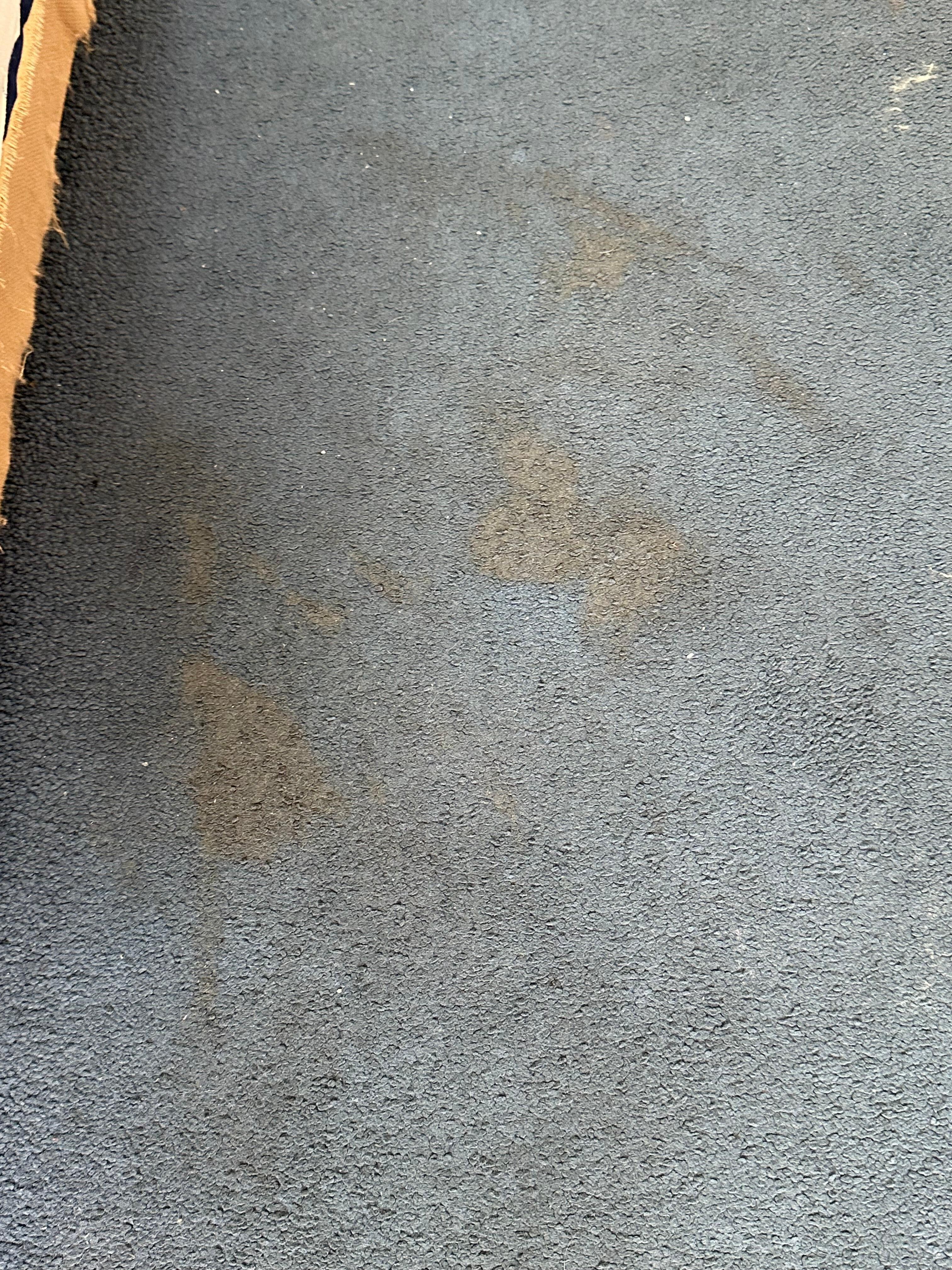Questionable carpet stains next to bed