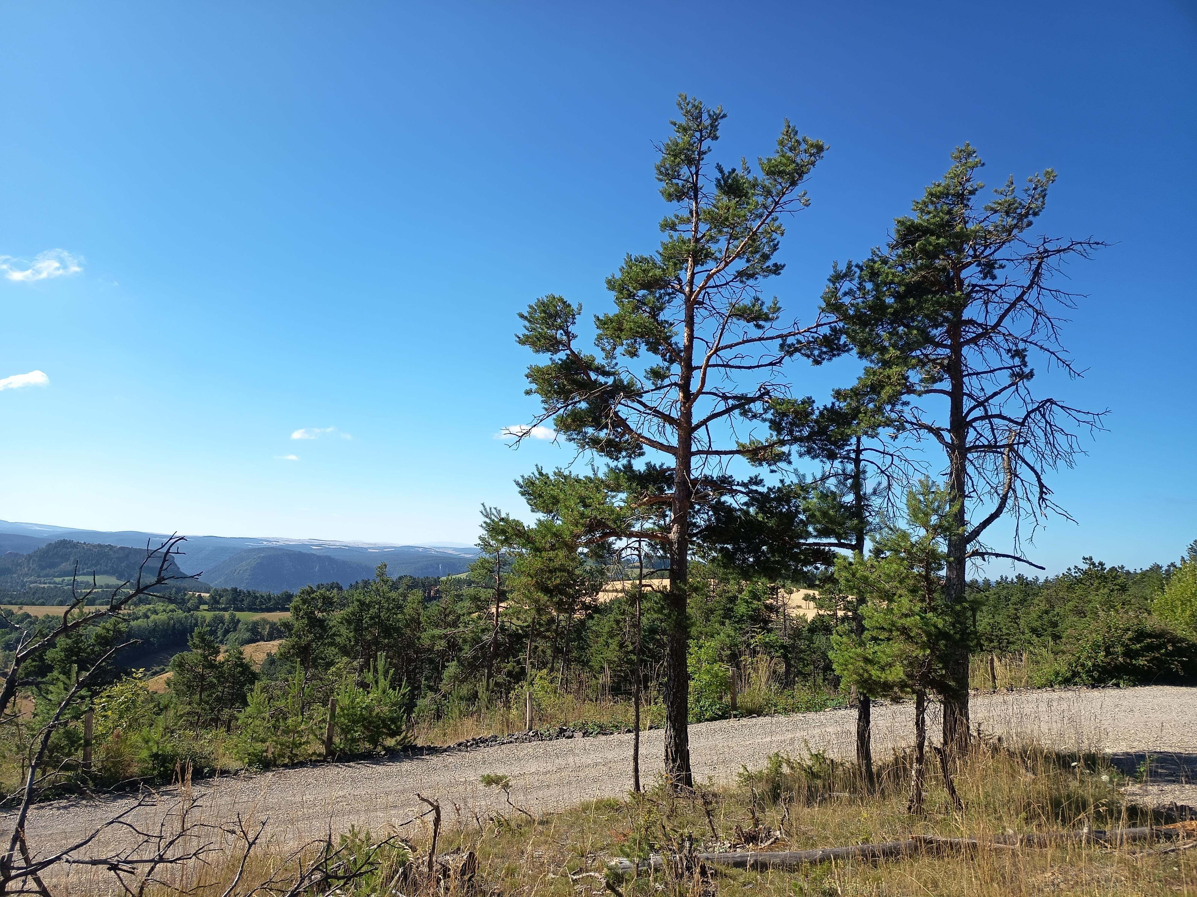 Idem. Vue du col magnifique 