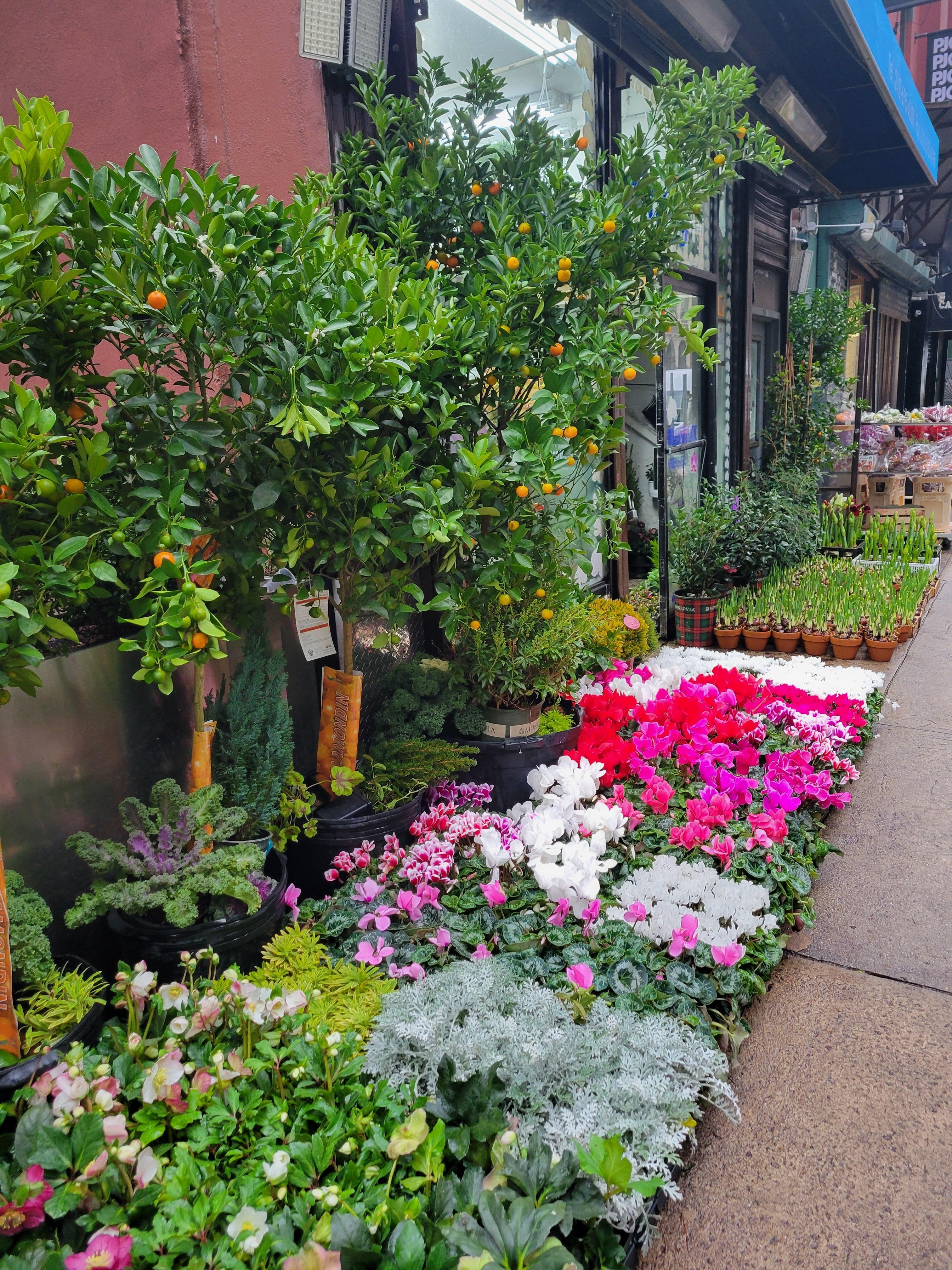 Right outside hotel
 Lovely flower shops
