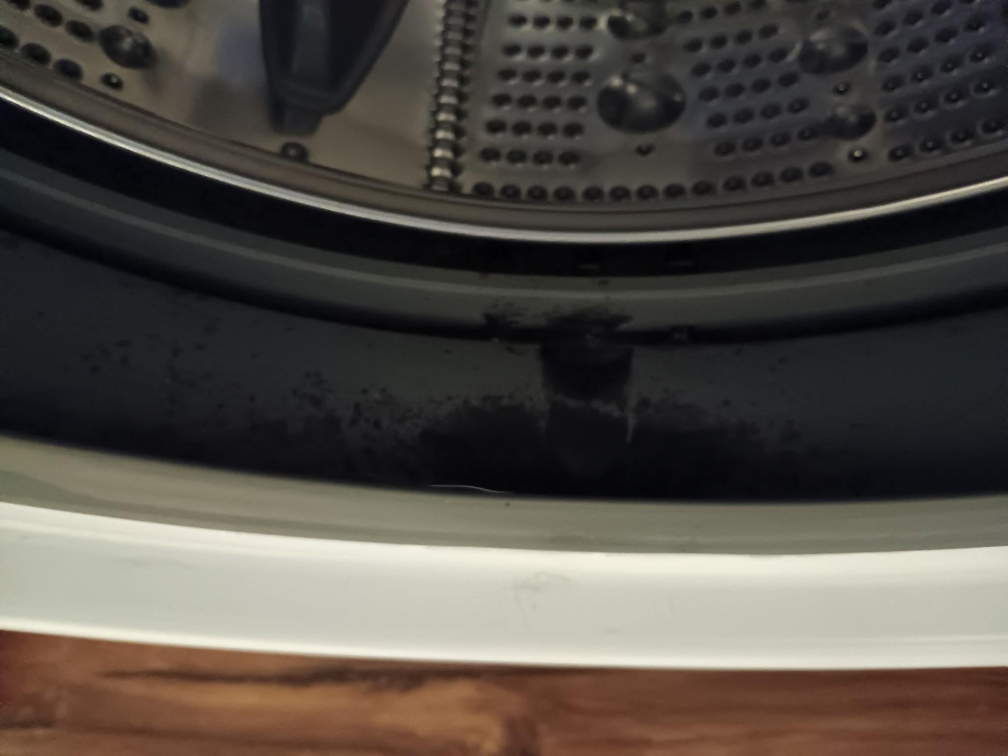 Black mold in washing machine.