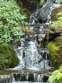 Japanese garden.