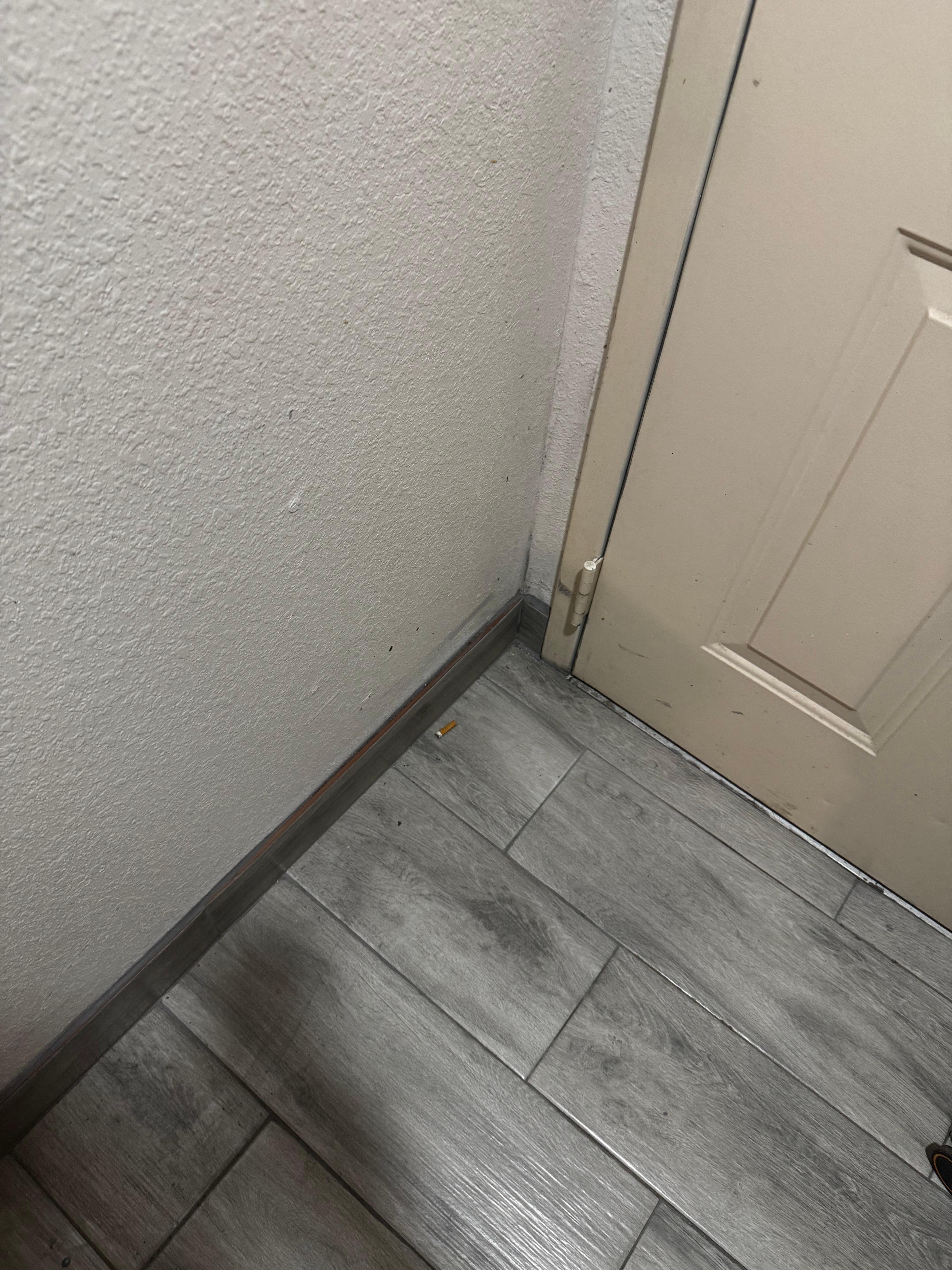 Cigarette butt behind door in a non-smoking room.