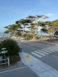 View from the room