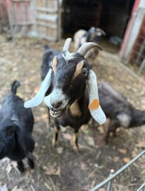 She was the sweetest