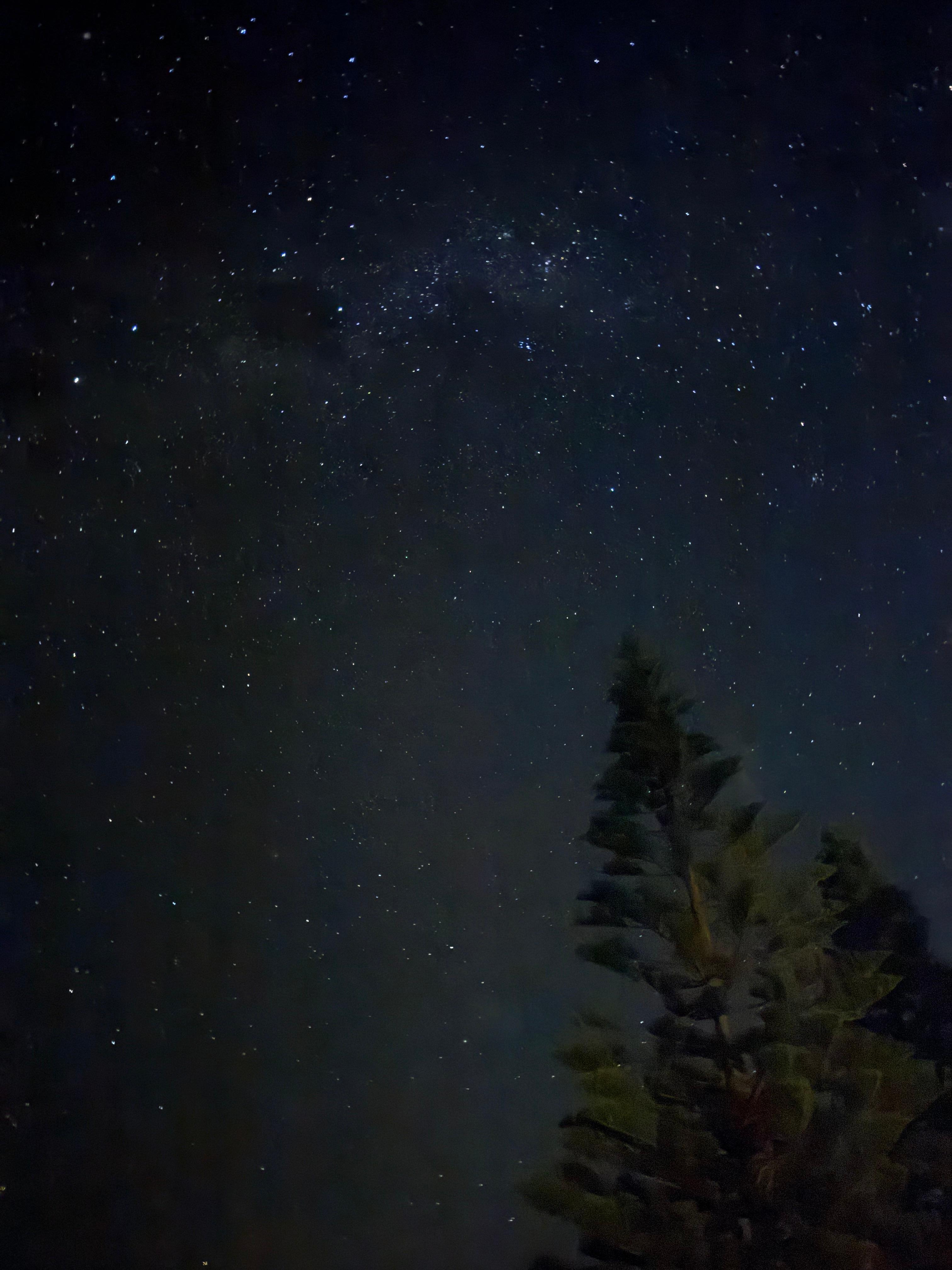 The night sky from the garden on a clear night. 