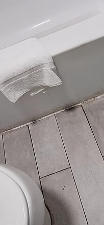 Mold
