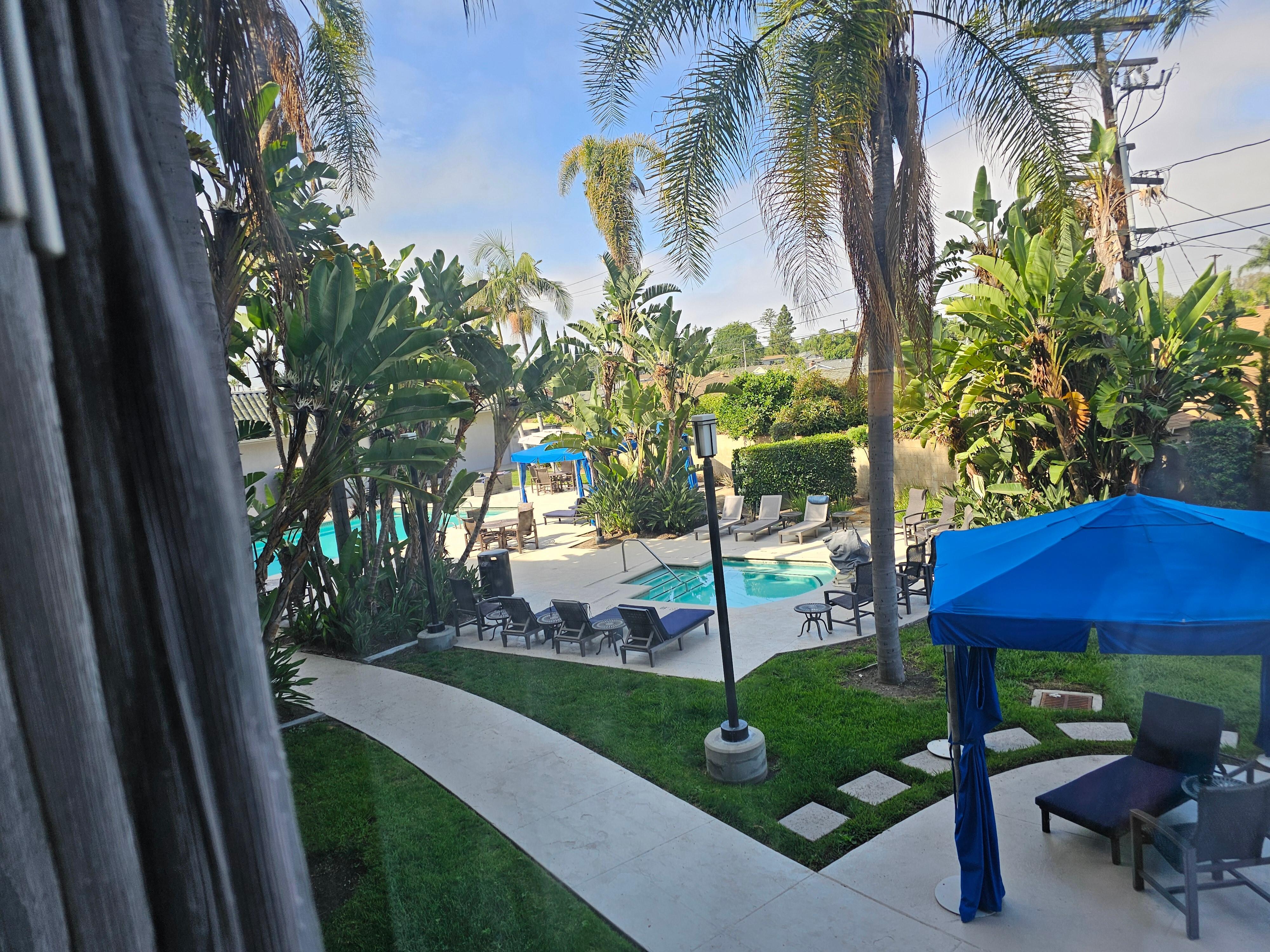 View of Jacuzzi and Swimming pool