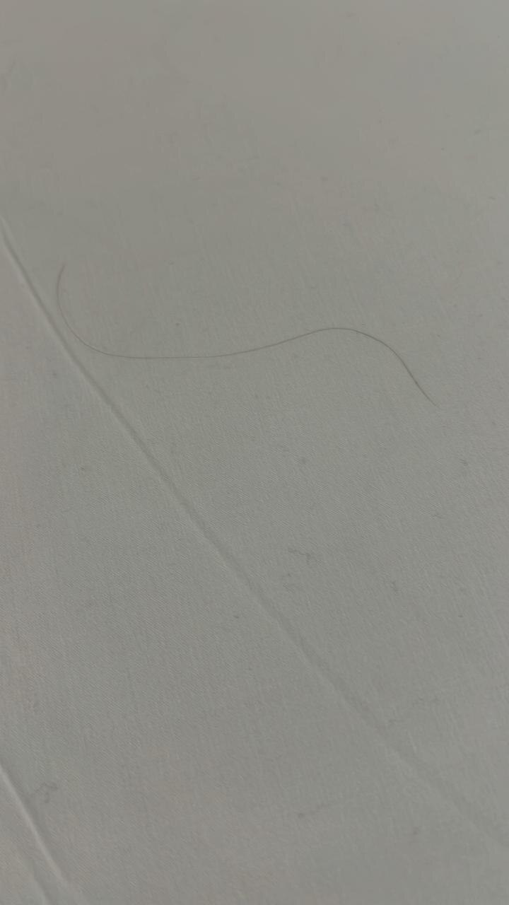 Cabelos nos lençóis 