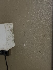 Next to the bed.