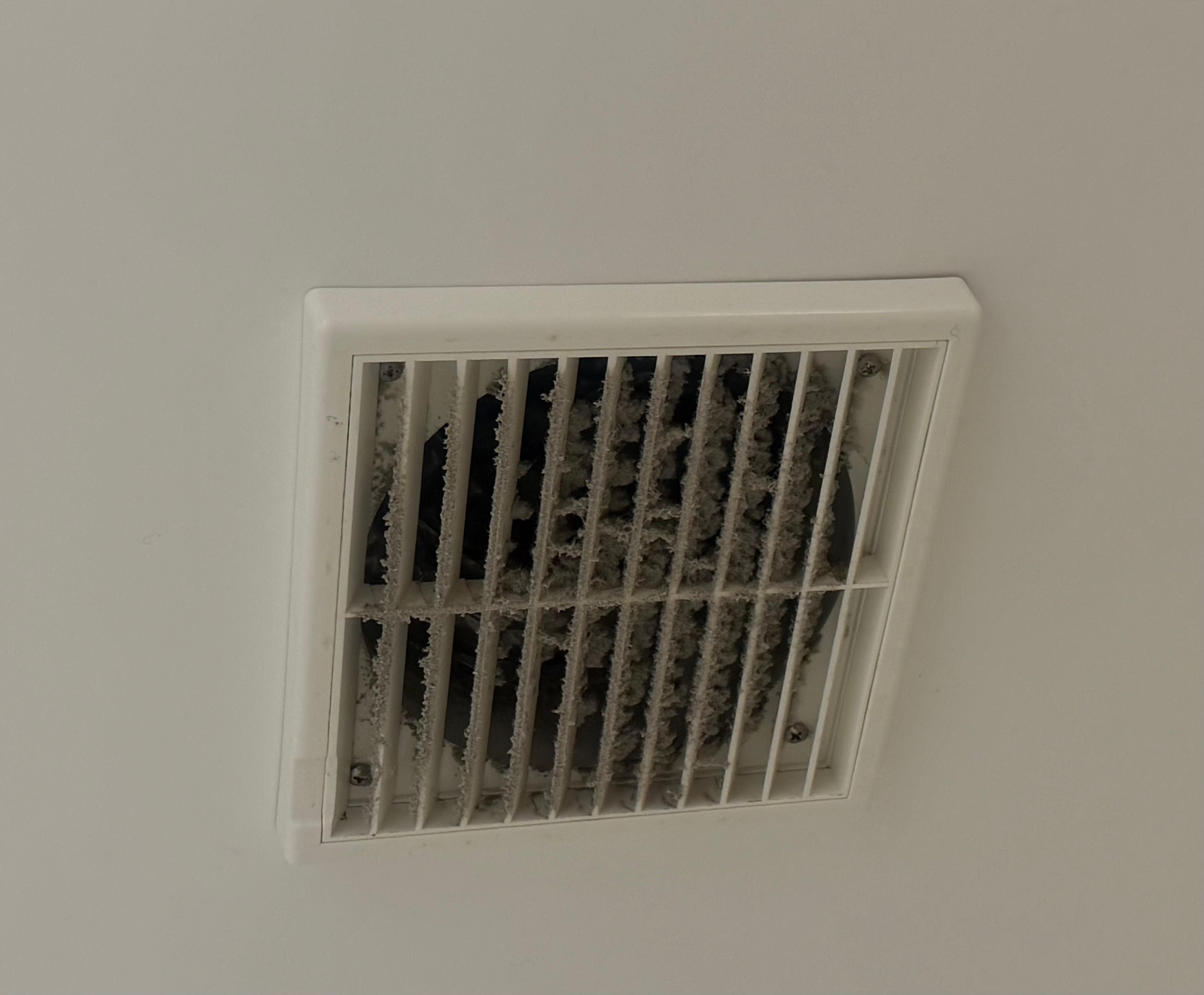 Bathroom vent