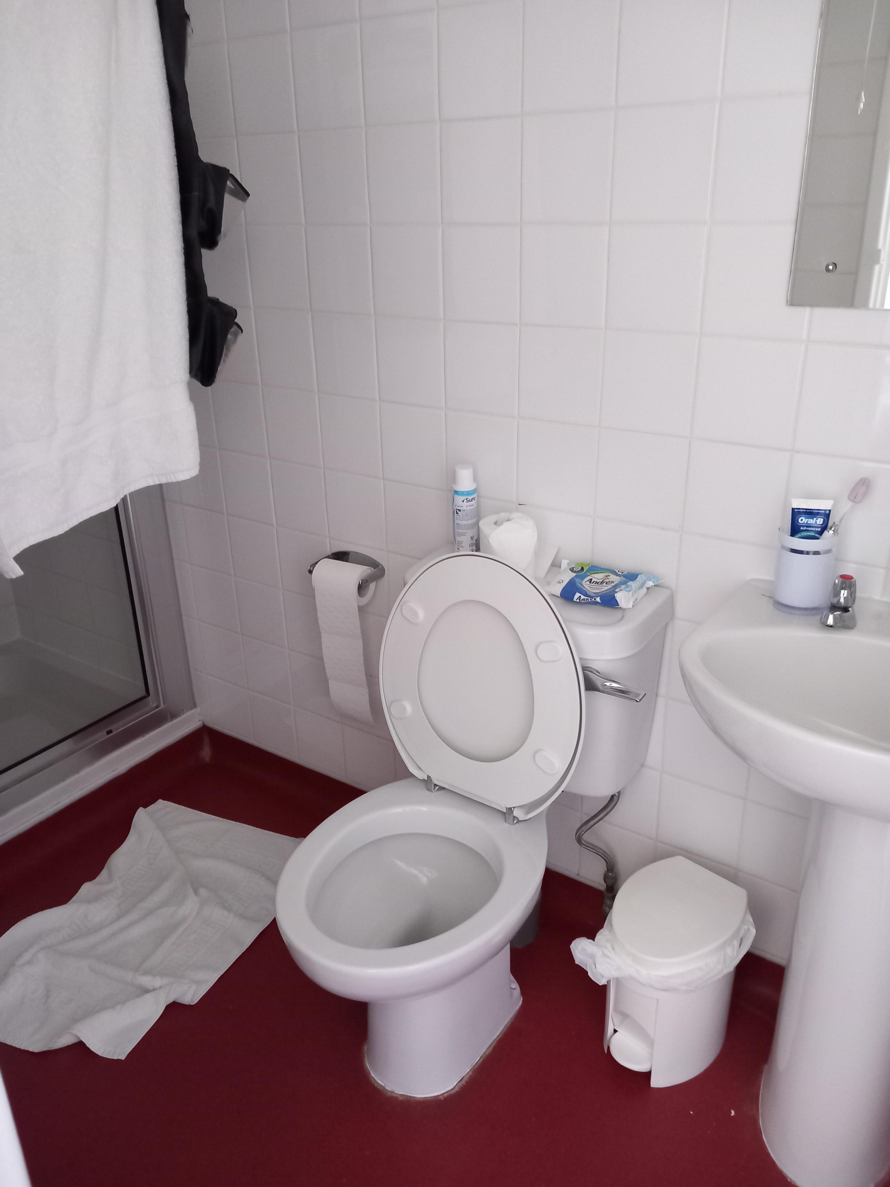tiny bathroom no hooks etc to hang anything
