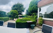 The spacious back yard was a delight for gathering, relaxing and eating.
