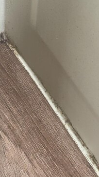 Baseboard in bathroom.