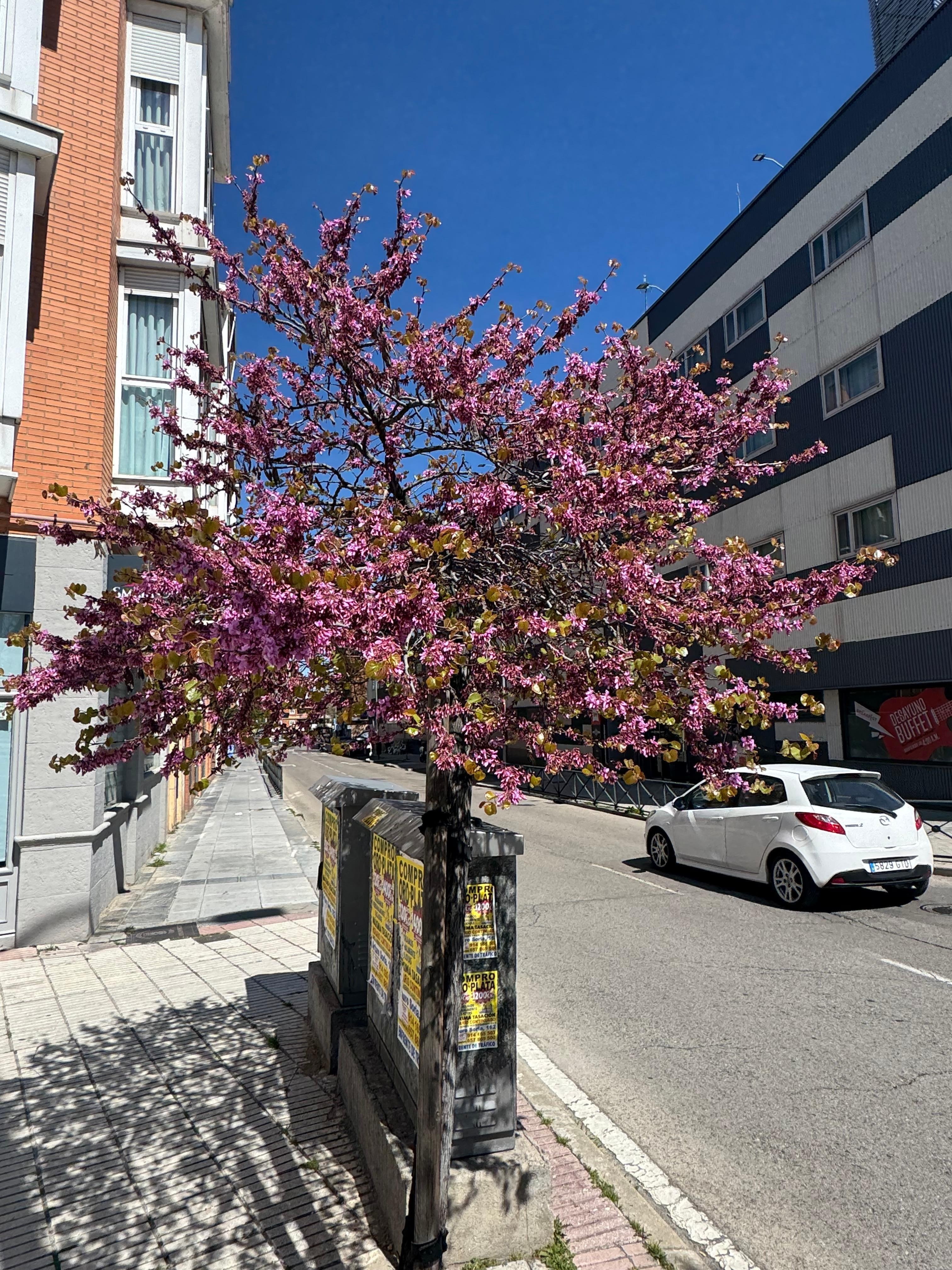 Rua comercial próxima ao hotel com boas alternativas de restaurantes e lanchonetes