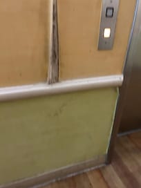 Wand Flur
Stock 3
Schimmel