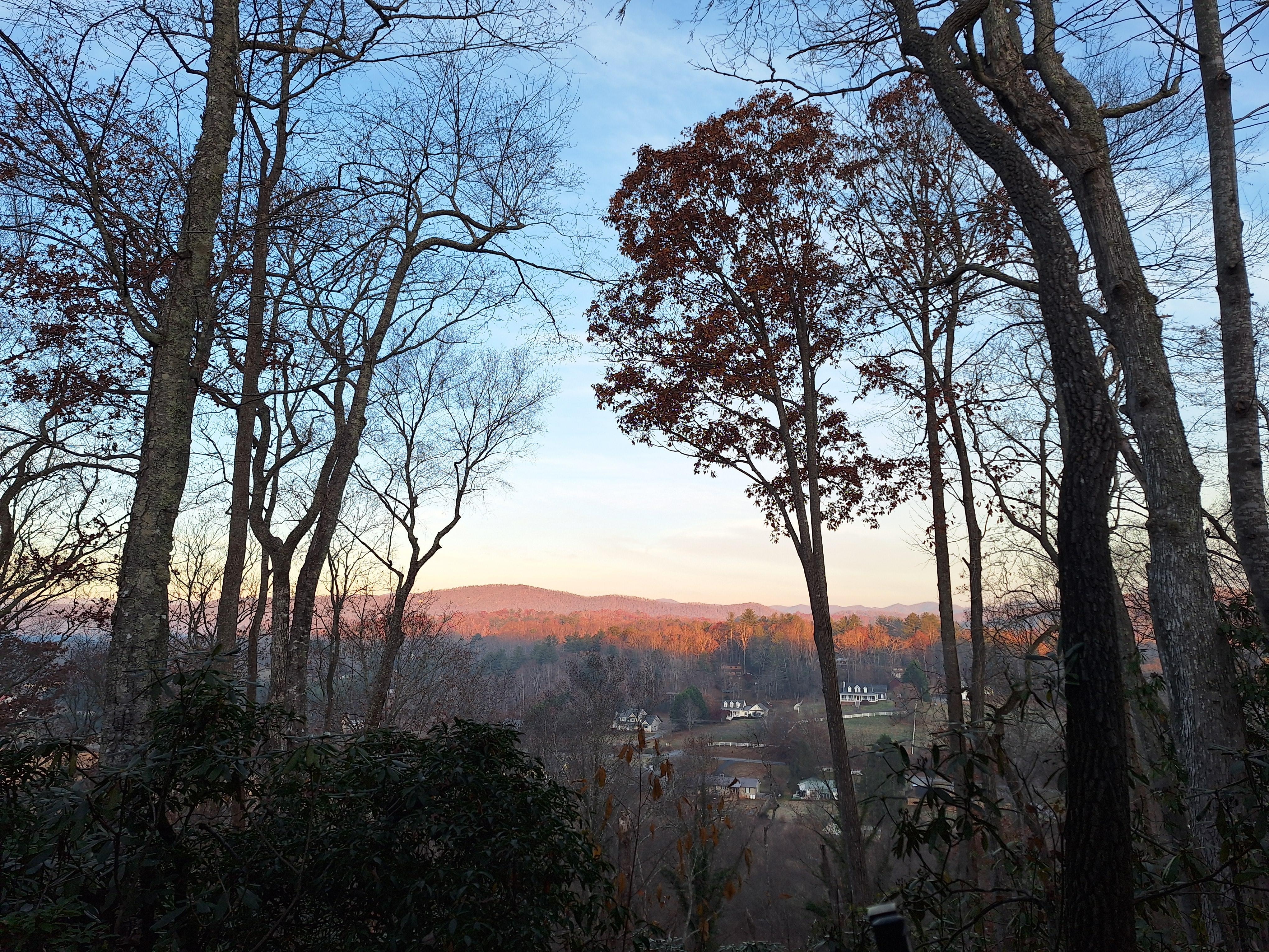 Gorgeous view from the back patio. 