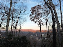 Gorgeous view from the back patio.
