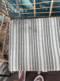 Moldy chair pads