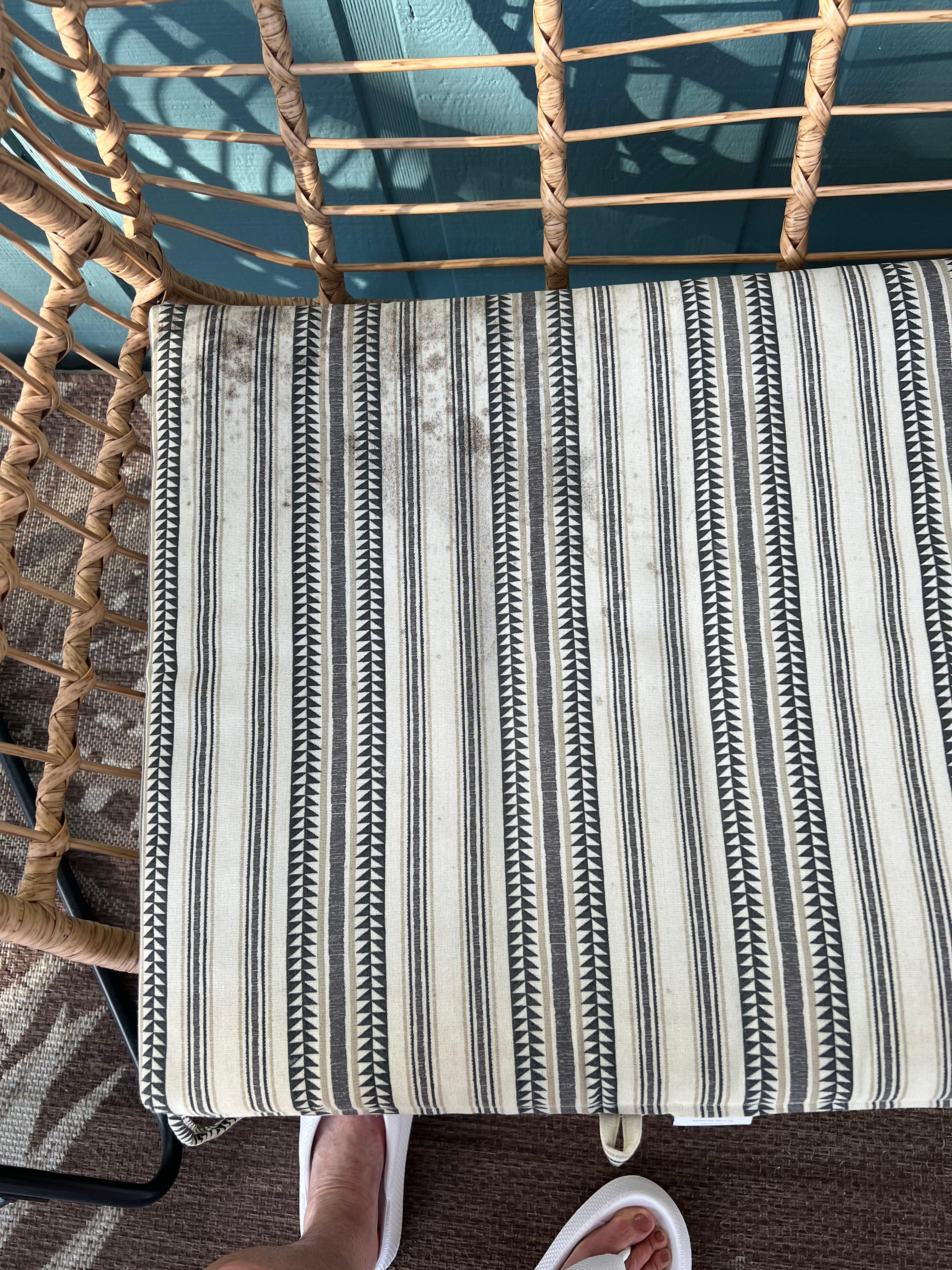 Moldy chair pads