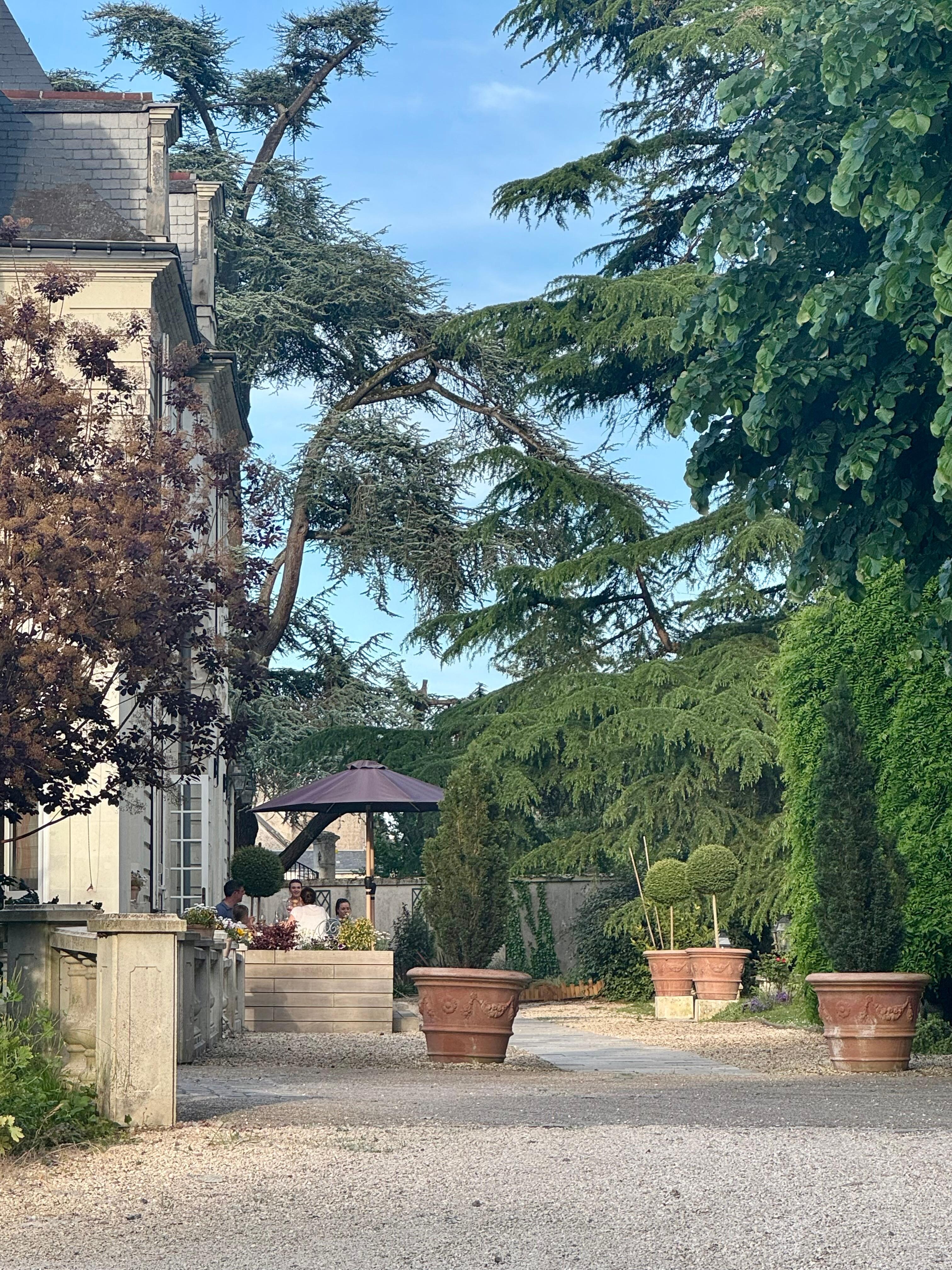 View of the back