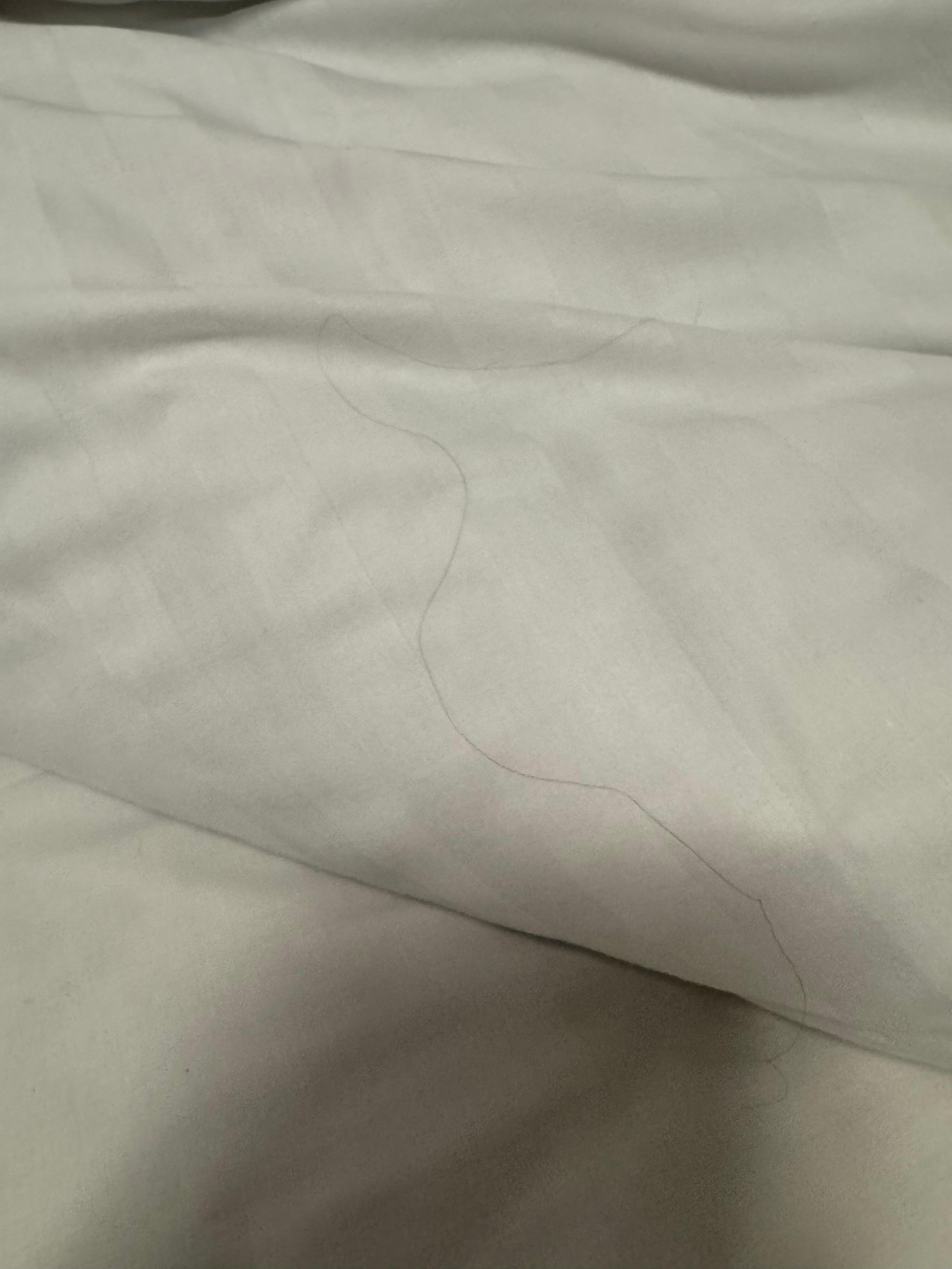 Hairs in the bed, not mine