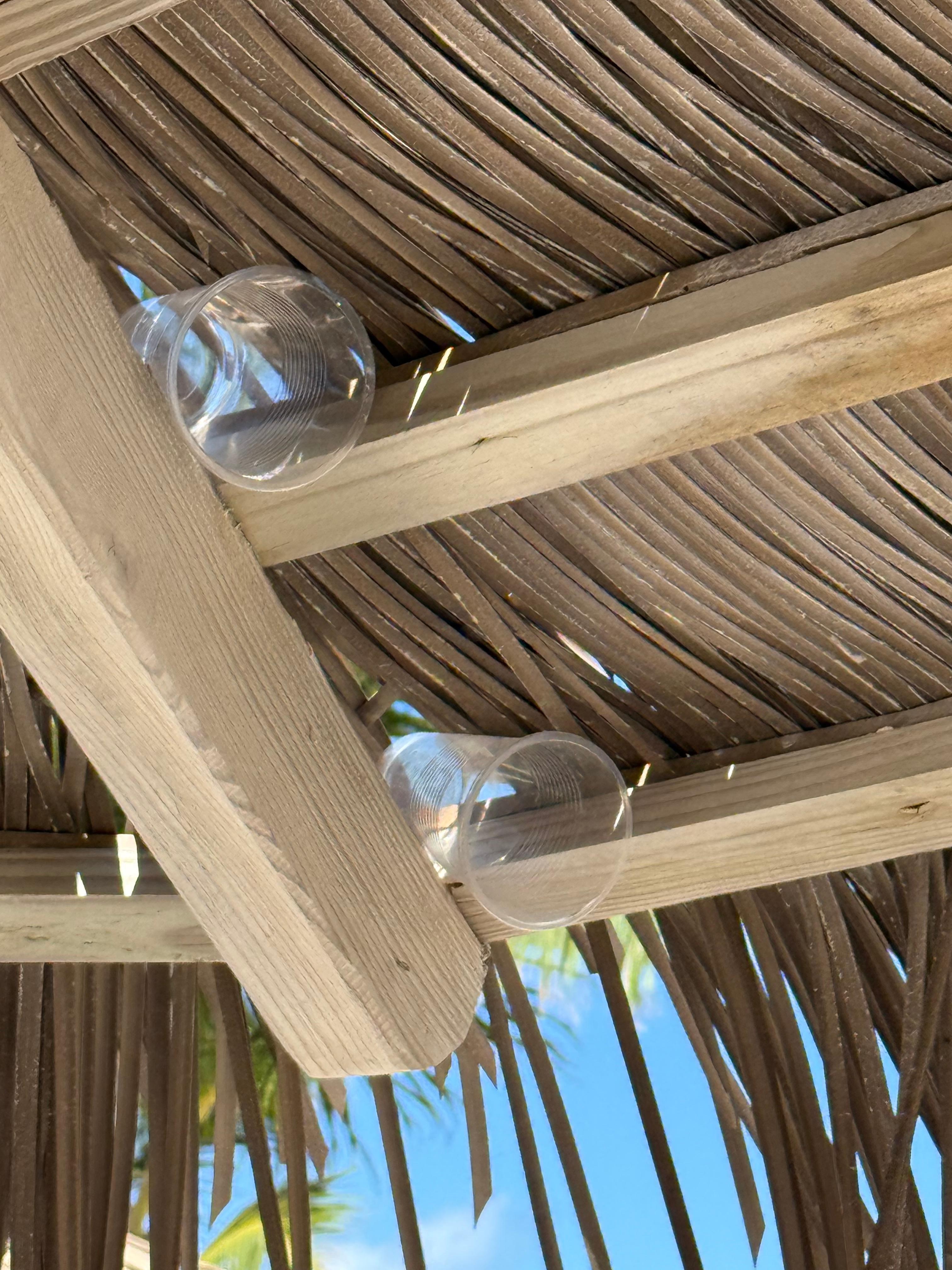 Benutze Becher in Sonnenschirmen