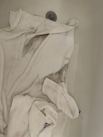 dirt and dog hair from floor in room