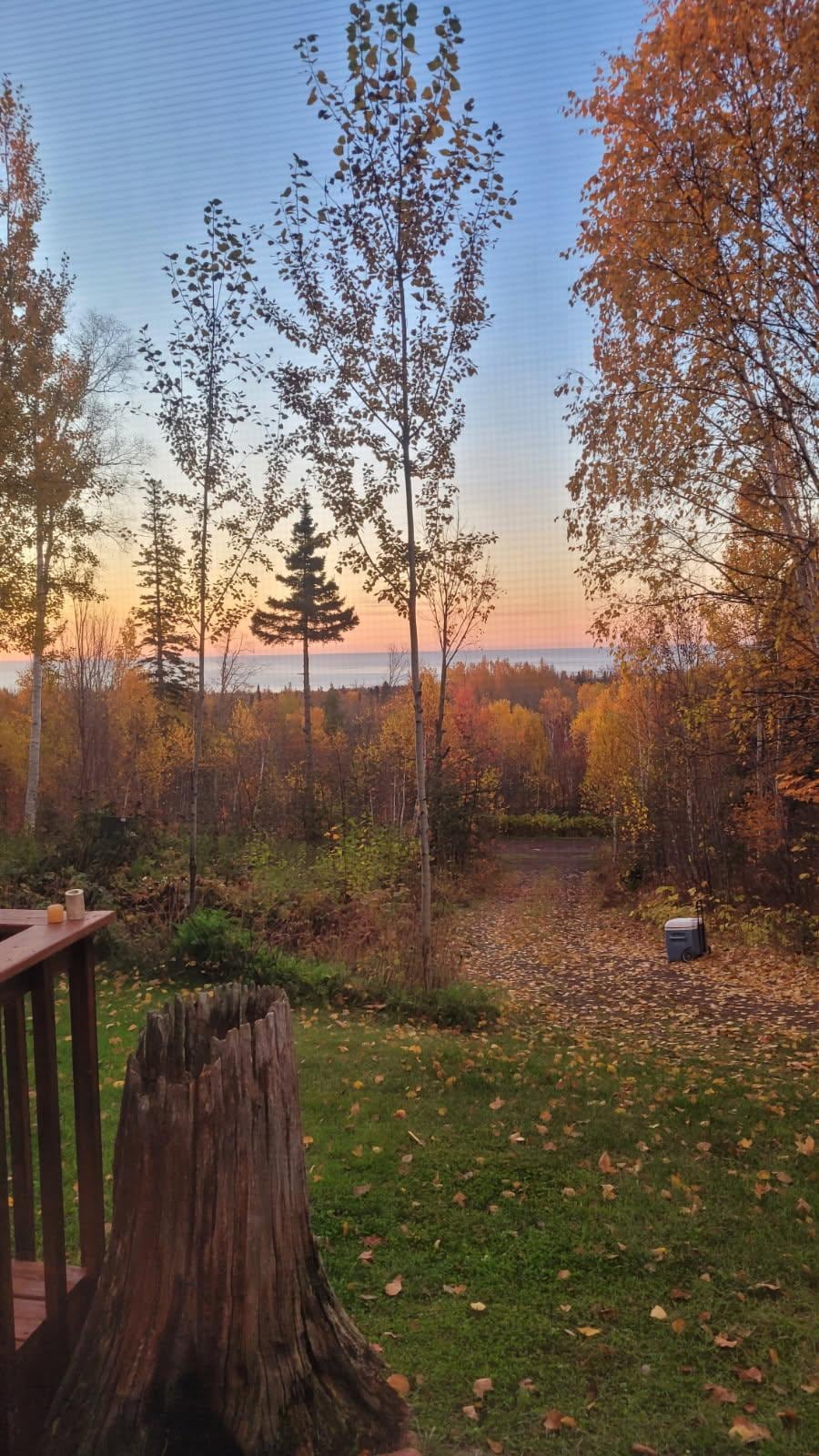 View off the deck, towards the lake