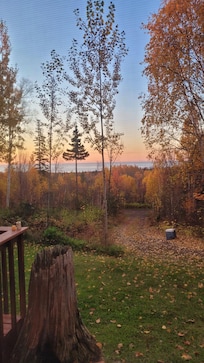 View off the deck, towards the lake