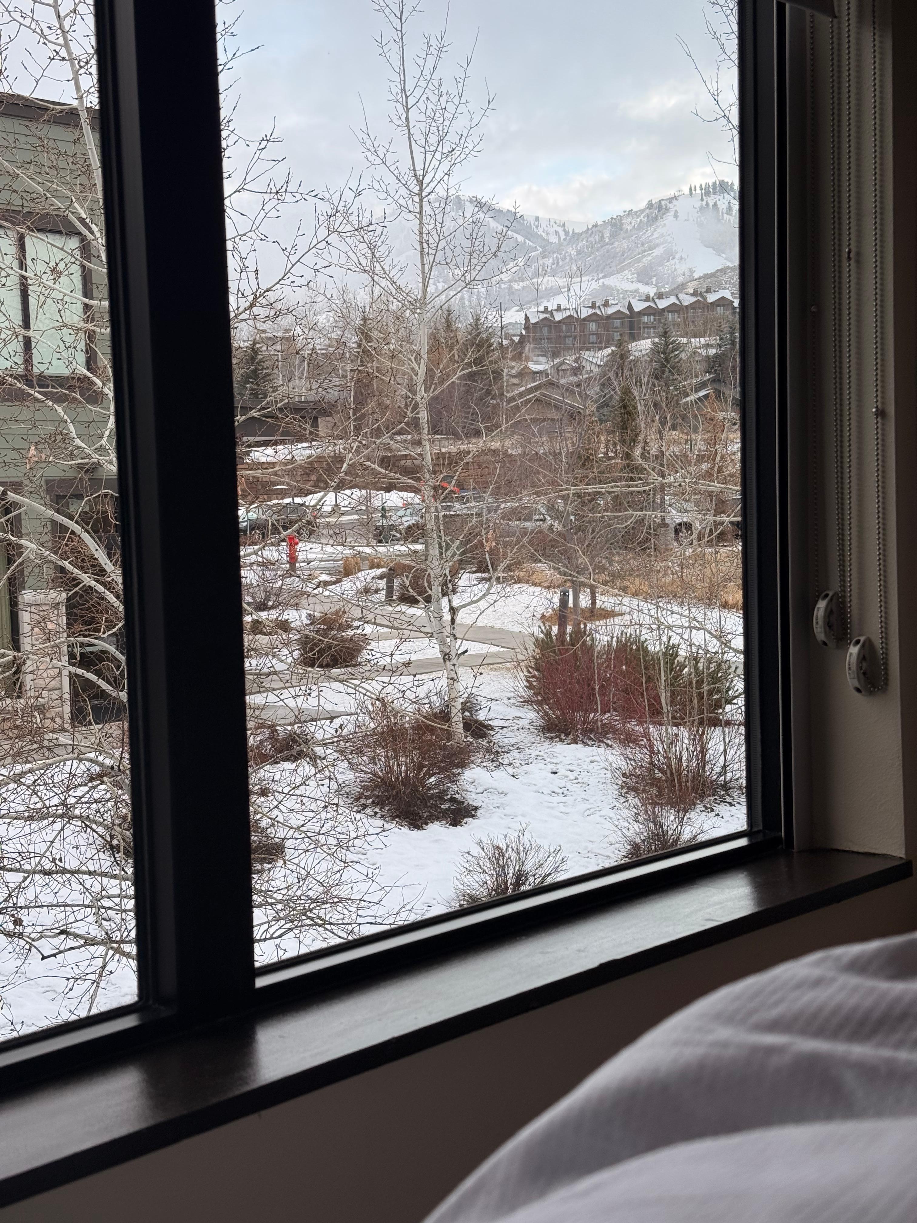 La vista desde el cuarto 