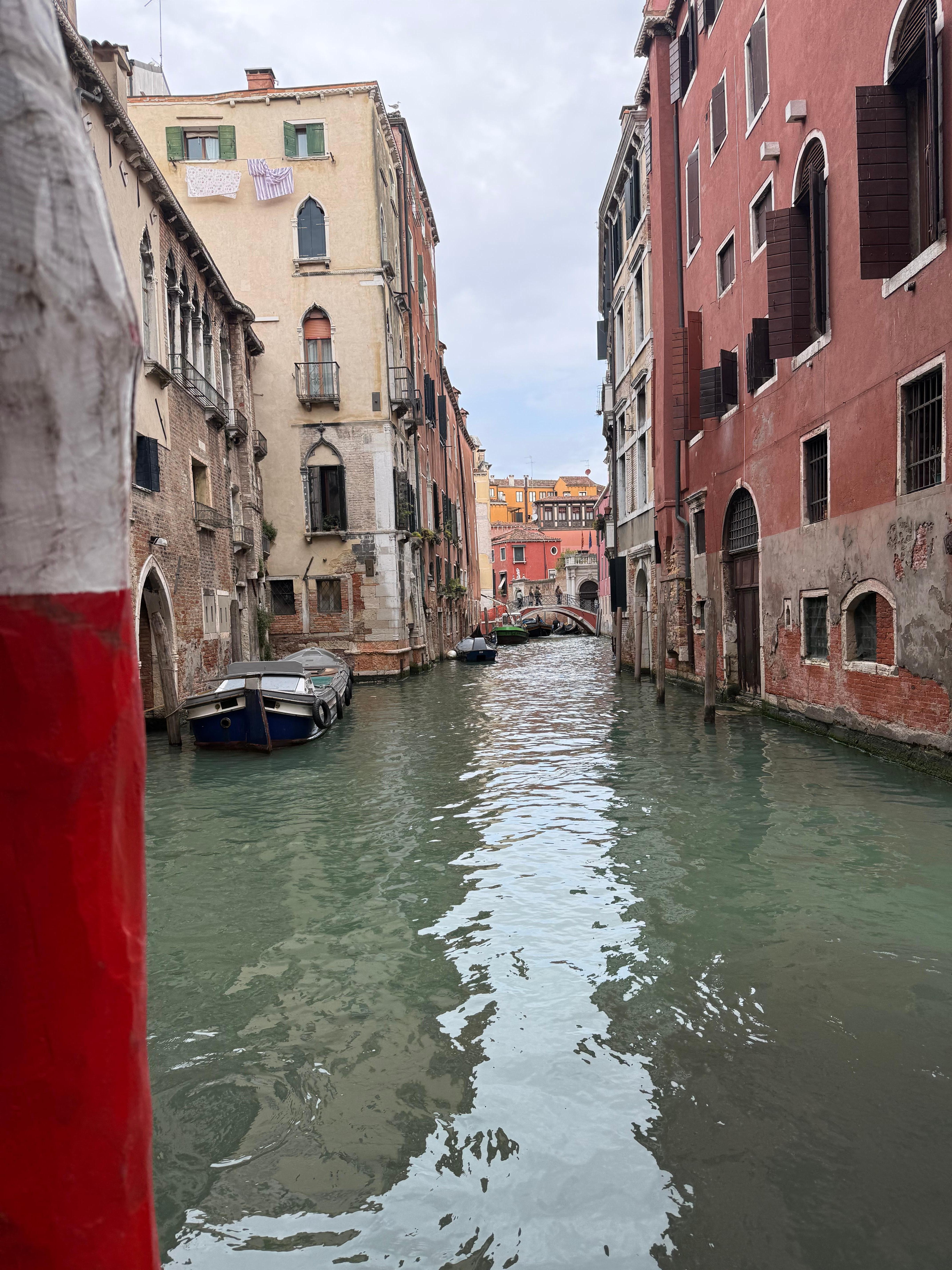 View from the outside table