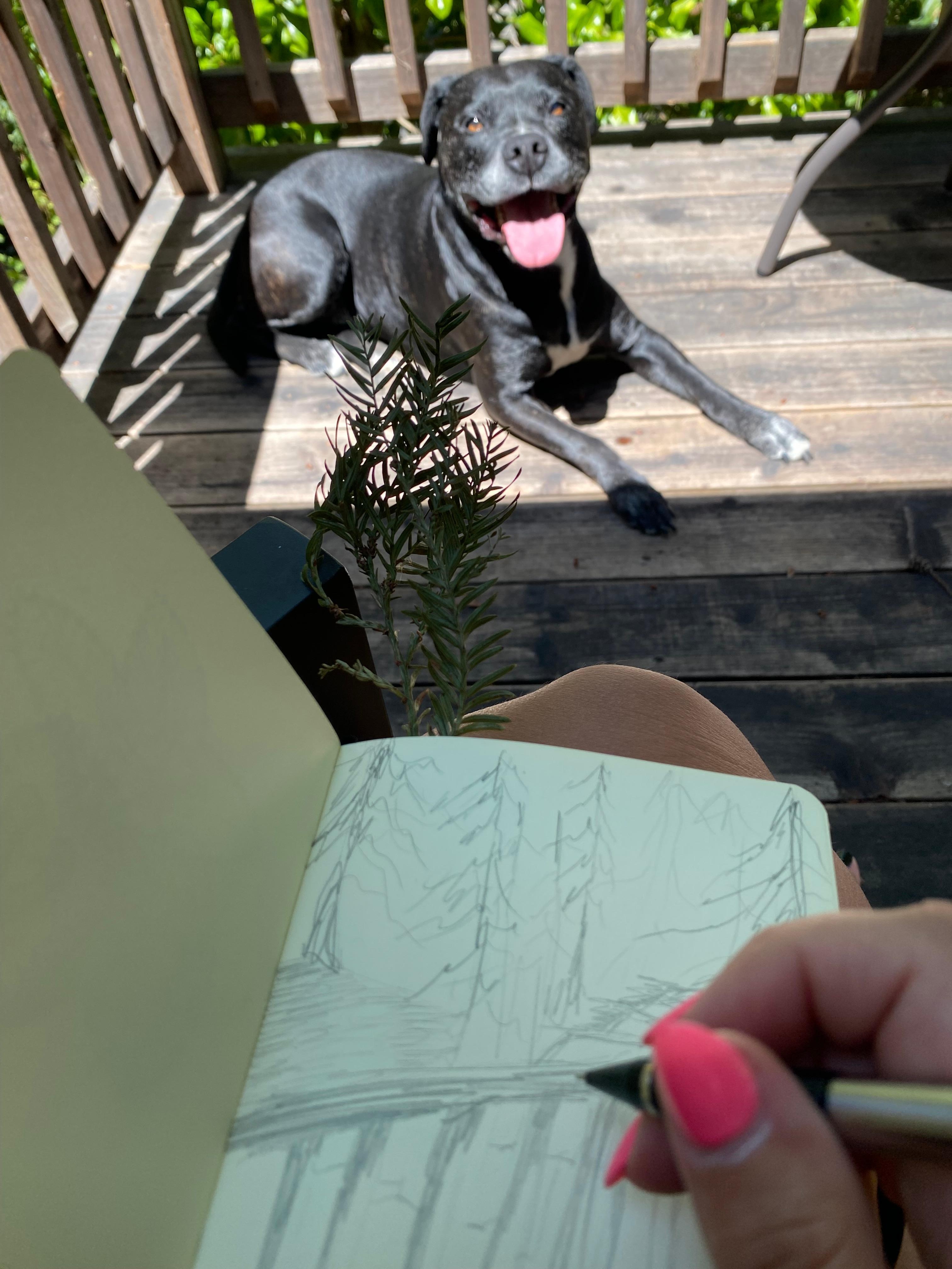Sun and sketch on the deck