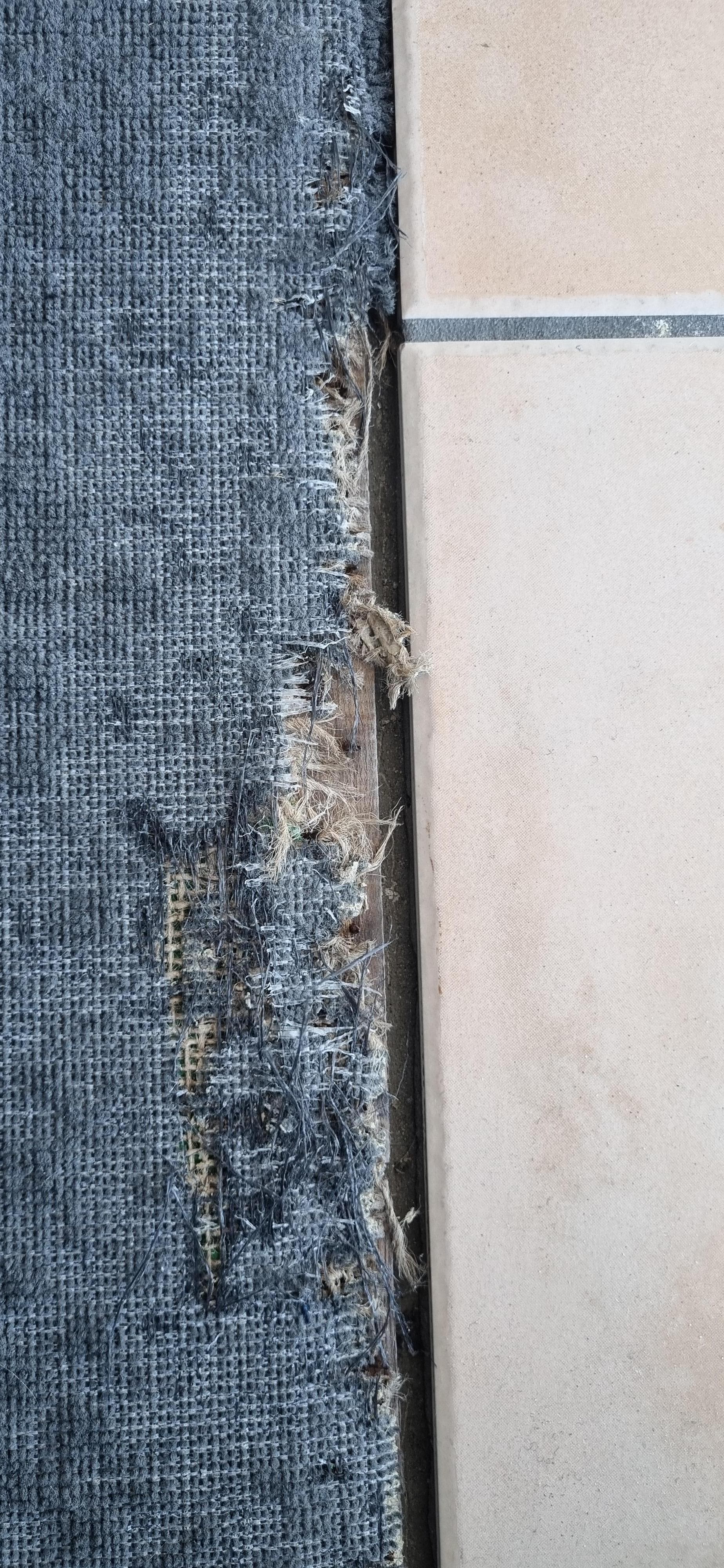 Nails exposed in the carpet at the doorway.