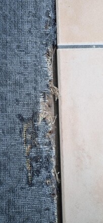 Nails exposed in the carpet at the doorway.