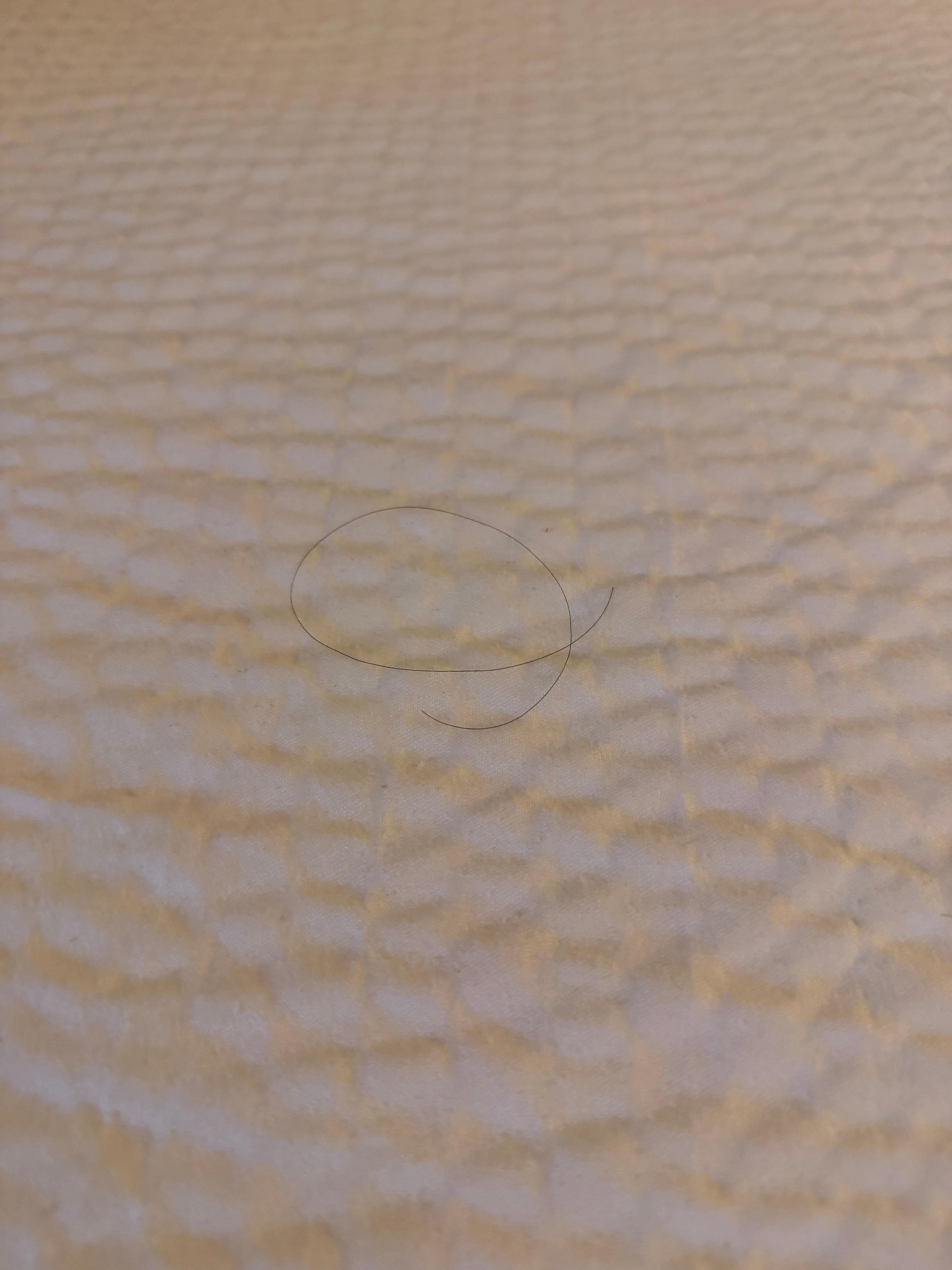 Hairs on bed