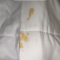 on the comforter of the bed.