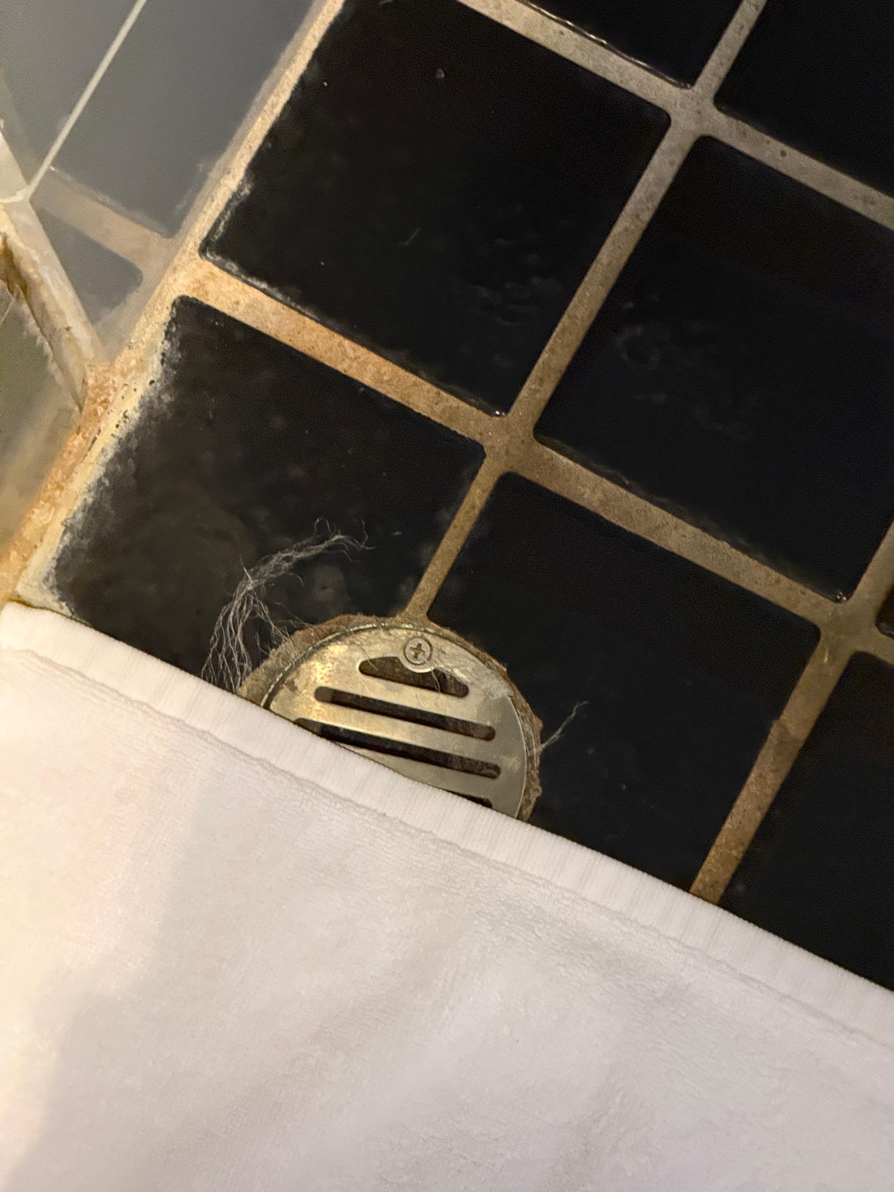 Haare vom vorgänger