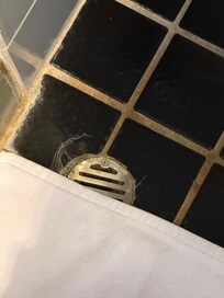 Haare vom vorgänger