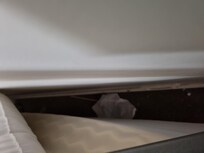Dirt under 1 of the beds, others no better.