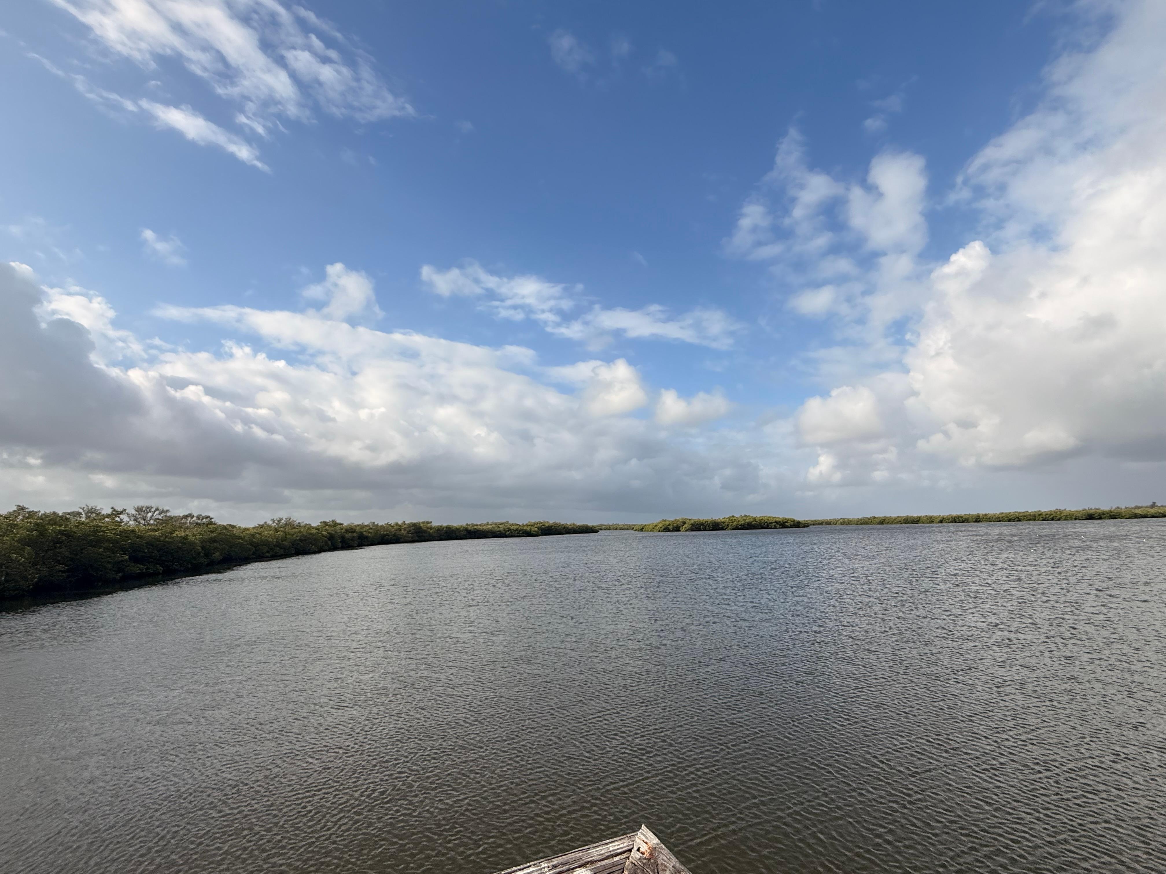 View from private dock