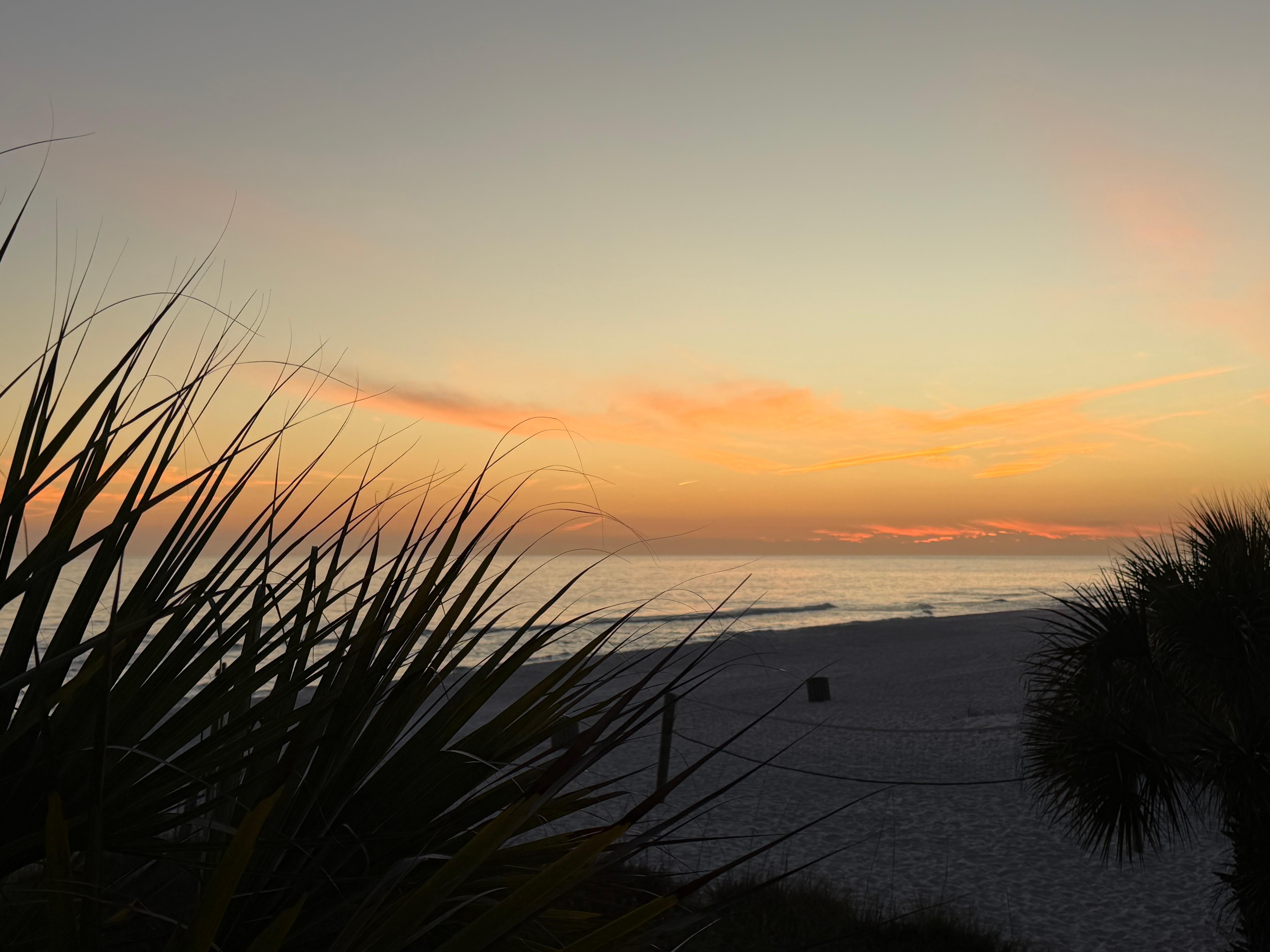 Your view of the ocean from the tiki bar