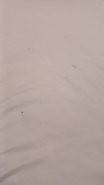 Sheet