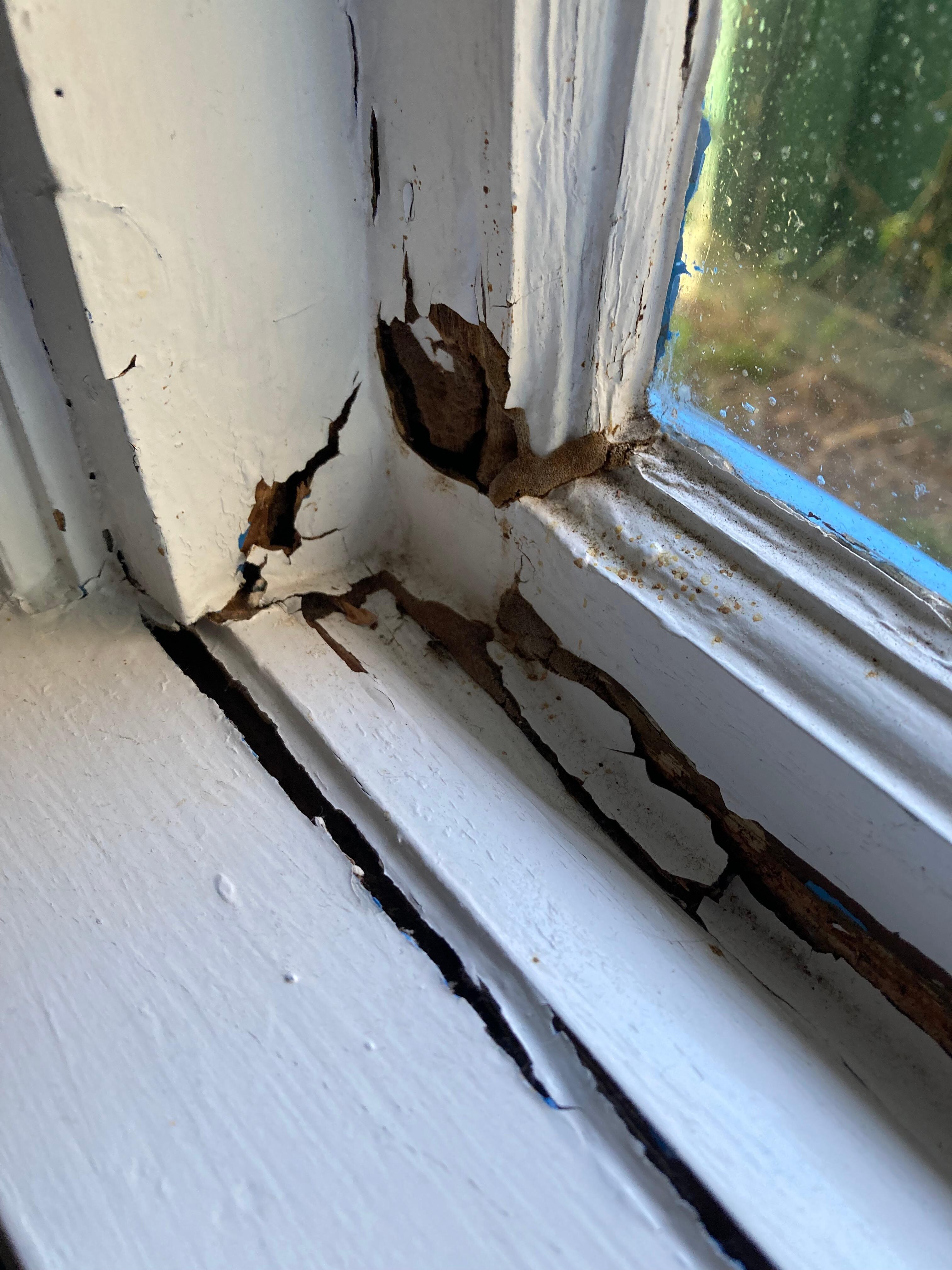 General state of disrepair. 